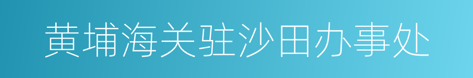 黄埔海关驻沙田办事处的同义词
