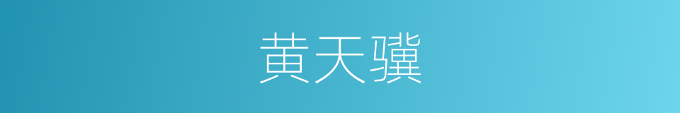 黄天骥的同义词
