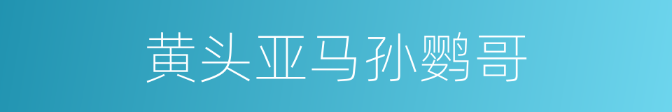 黄头亚马孙鹦哥的同义词