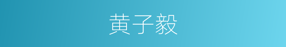 黄子毅的同义词