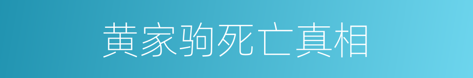 黄家驹死亡真相的同义词