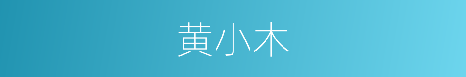 黄小木的同义词