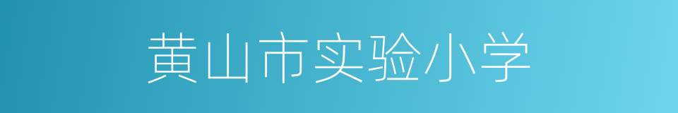 黄山市实验小学的同义词