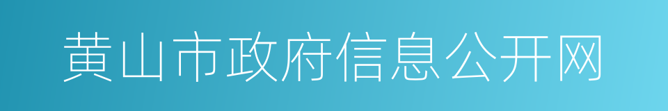 黄山市政府信息公开网的同义词