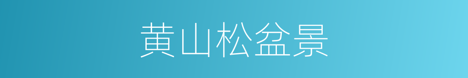 黄山松盆景的同义词