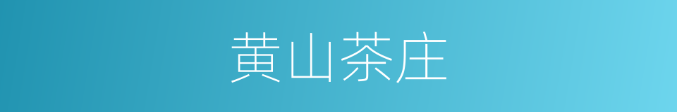 黄山茶庄的同义词