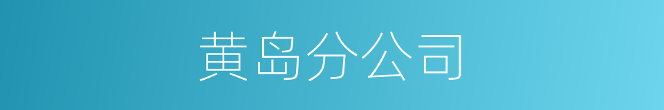 黄岛分公司的同义词