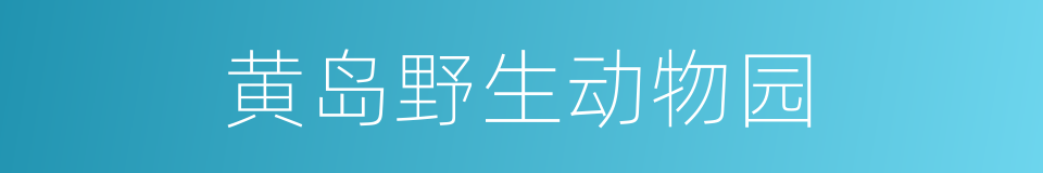 黄岛野生动物园的同义词