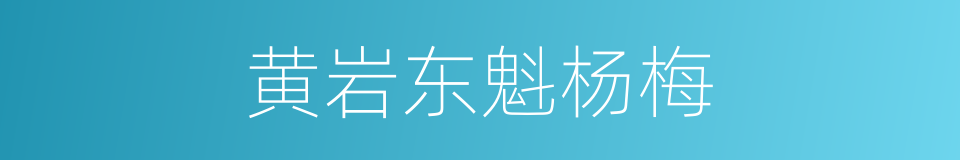 黄岩东魁杨梅的同义词