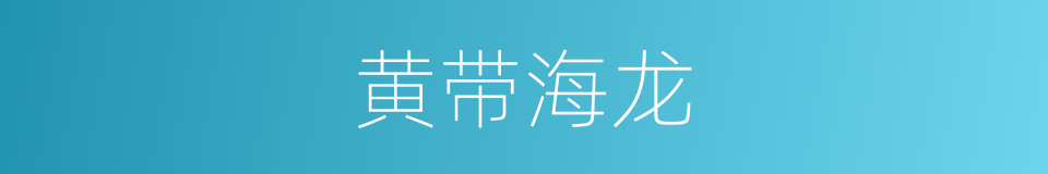 黄带海龙的同义词