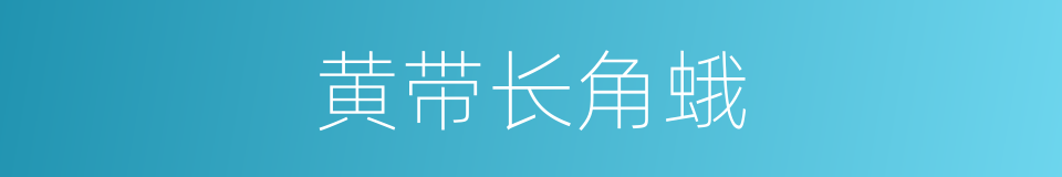 黄带长角蛾的同义词