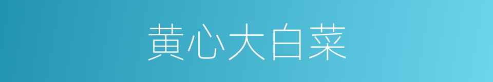 黄心大白菜的同义词