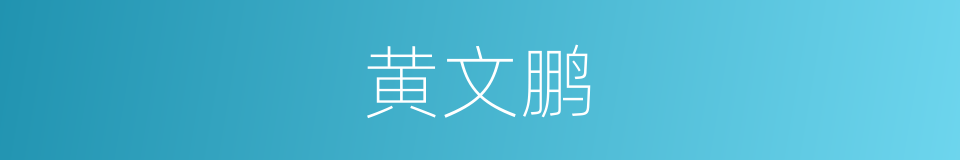 黄文鹏的同义词