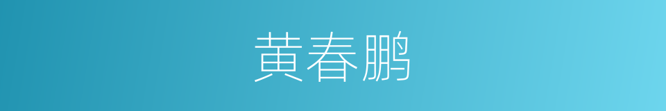 黄春鹏的同义词