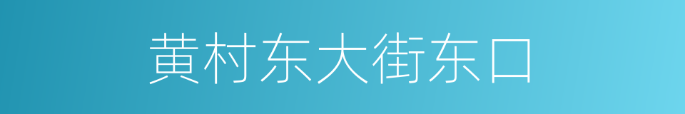 黄村东大街东口的同义词