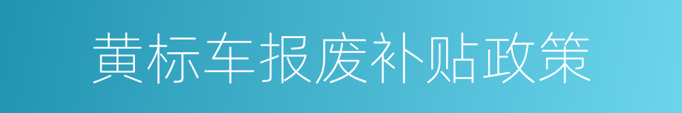 黄标车报废补贴政策的同义词