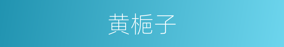 黄梔子的同義詞