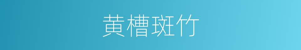 黄槽斑竹的同义词