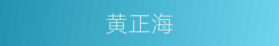黄正海的同义词