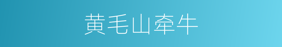 黄毛山牵牛的同义词
