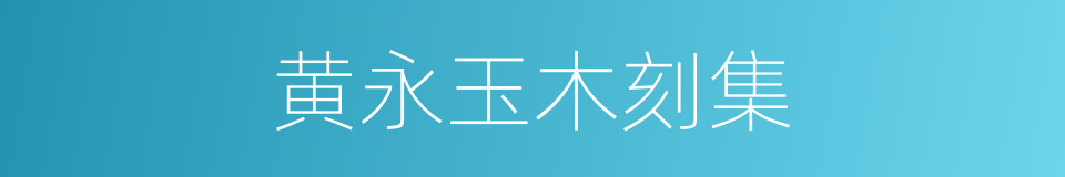 黄永玉木刻集的同义词