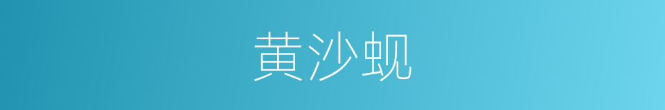 黄沙蚬的同义词