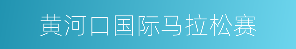 黄河口国际马拉松赛的同义词