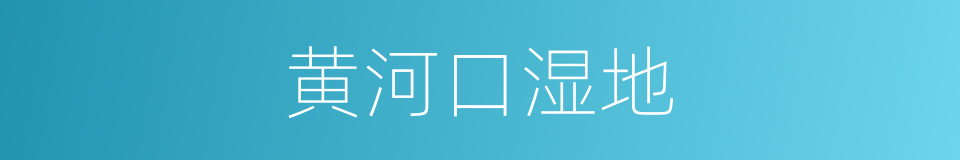 黄河口湿地的同义词
