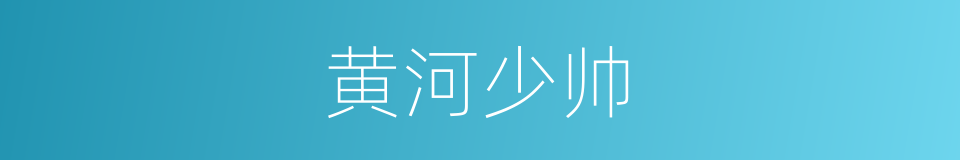 黄河少帅的同义词