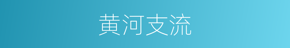 黄河支流的同义词