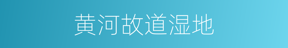 黄河故道湿地的同义词