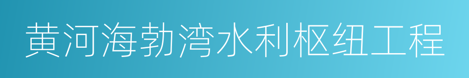 黄河海勃湾水利枢纽工程的同义词