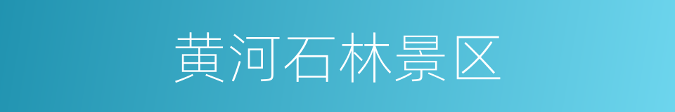 黄河石林景区的同义词