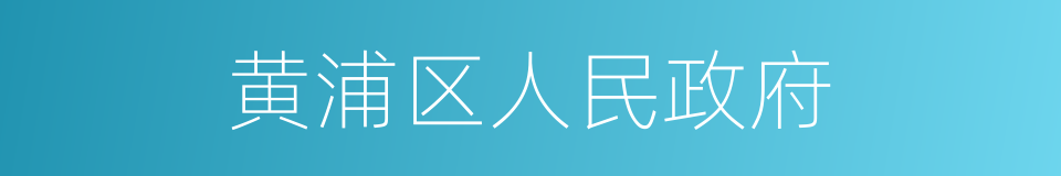 黄浦区人民政府的同义词