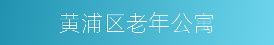 黄浦区老年公寓的同义词