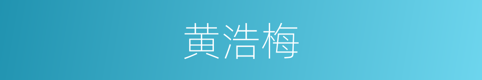 黄浩梅的同义词