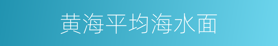 黄海平均海水面的同义词