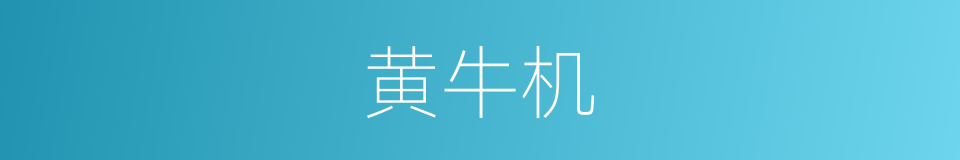 黄牛机的同义词