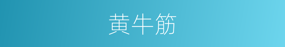 黄牛筋的同义词