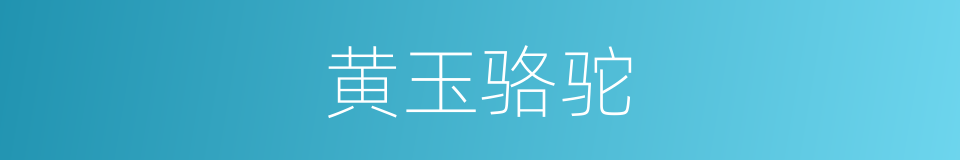 黄玉骆驼的同义词