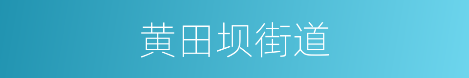 黄田坝街道的同义词