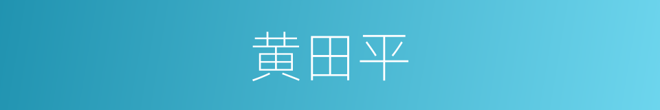 黄田平的同义词