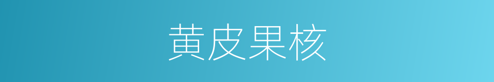 黄皮果核的同义词