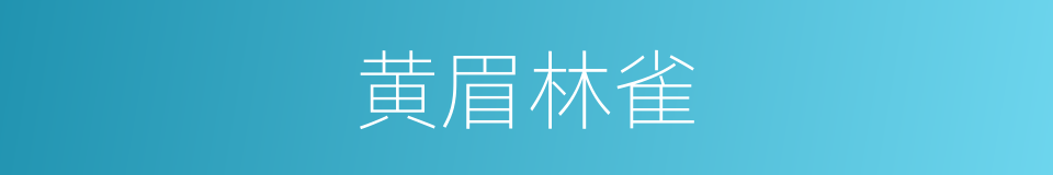 黄眉林雀的同义词
