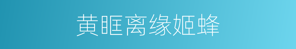黄眶离缘姬蜂的同义词