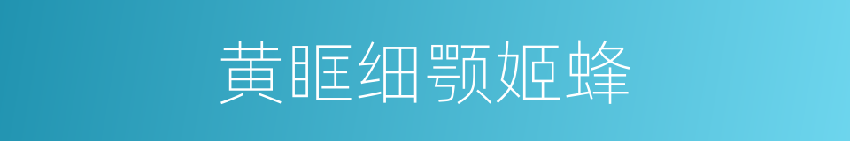黄眶细颚姬蜂的同义词
