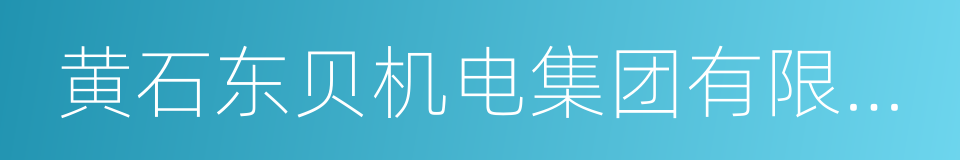 黄石东贝机电集团有限责任公司的同义词