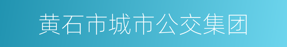 黄石市城市公交集团的同义词