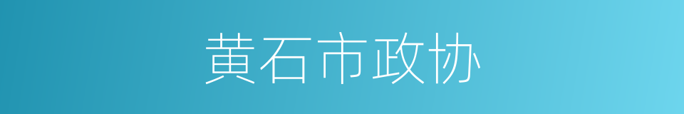 黄石市政协的同义词
