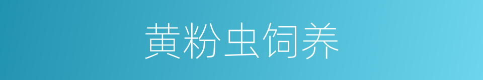 黄粉虫饲养的同义词